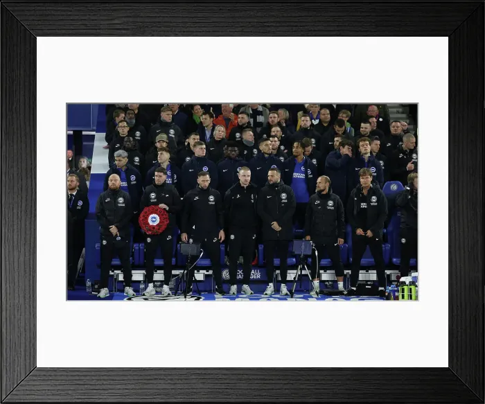 Framed Print : Brighton and Hove Albion v Manchester City Premier League 09NOV24 Framed Print : Brighton and Hove Albion v Manchester City Premier League 09NOV24