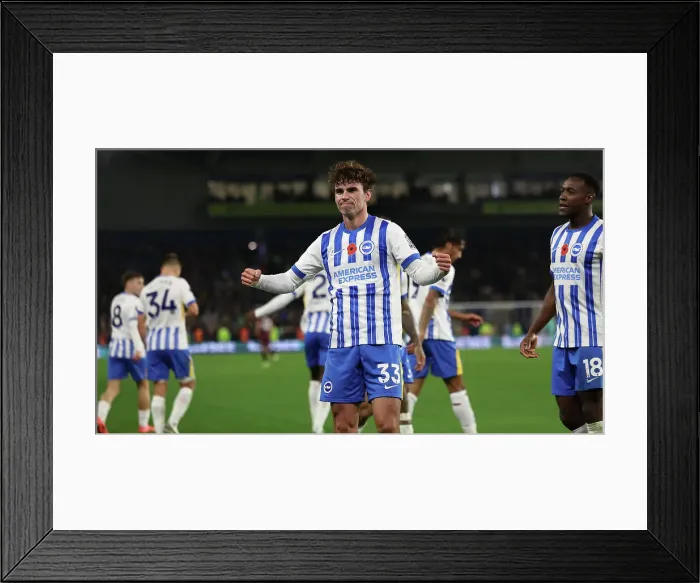 Framed Print : Brighton and Hove Albion v Manchester City Premier League 09NOV24