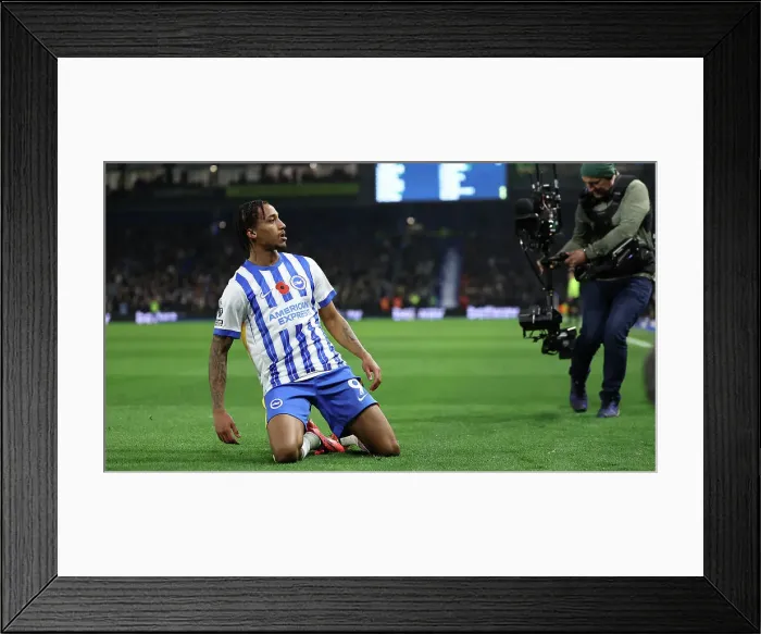 Framed Print : Brighton and Hove Albion v Manchester City Premier League 09NOV24 Framed Print : Brighton and Hove Albion v Manchester City Premier League 09NOV24