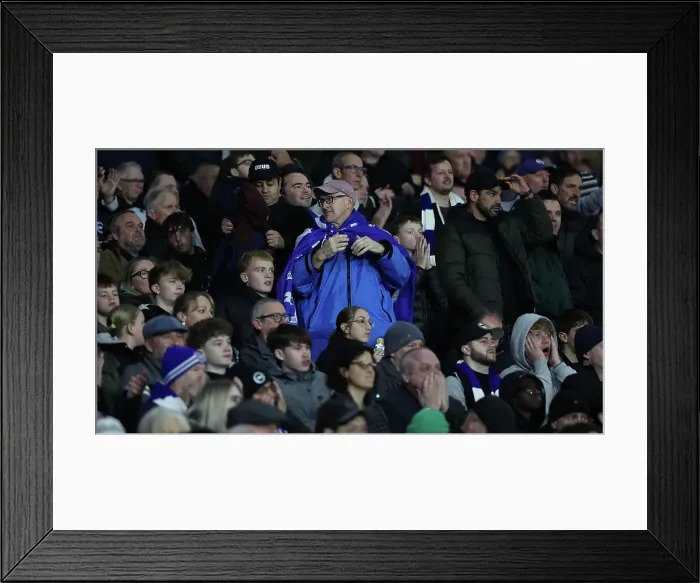Framed Print : Brighton and Hove Albion v Manchester City Premier League 09NOV24 Framed Print : Brighton and Hove Albion v Manchester City Premier League 09NOV24