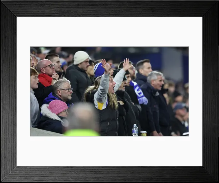 Framed Print : Brighton and Hove Albion v Manchester City Premier League 09NOV24 Framed Print : Brighton and Hove Albion v Manchester City Premier League 09NOV24