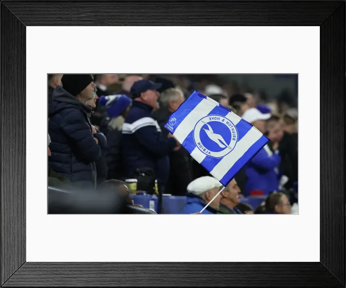 Framed Print : Brighton and Hove Albion v Manchester City Premier League 09NOV24 Framed Print : Brighton and Hove Albion v Manchester City Premier League 09NOV24