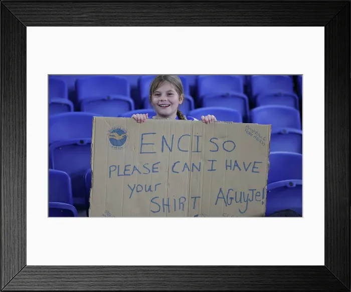 Framed Print : Brighton and Hove Albion v Manchester City Premier League 09NOV24 Framed Print : Brighton and Hove Albion v Manchester City Premier League 09NOV24