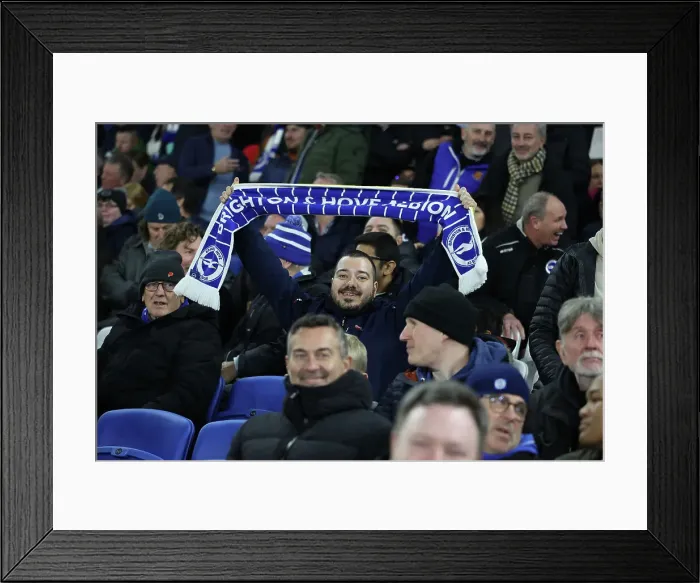 Framed Print : Brighton and Hove Albion v Manchester City Premier League 09NOV24 Framed Print : Brighton and Hove Albion v Manchester City Premier League 09NOV24