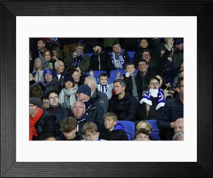 Framed Print : Brighton and Hove Albion v Manchester City Premier League 09NOV24 Framed Print : Brighton and Hove Albion v Manchester City Premier League 09NOV24