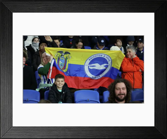 Framed Print : Brighton and Hove Albion v Manchester City Premier League 09NOV24 Framed Print : Brighton and Hove Albion v Manchester City Premier League 09NOV24