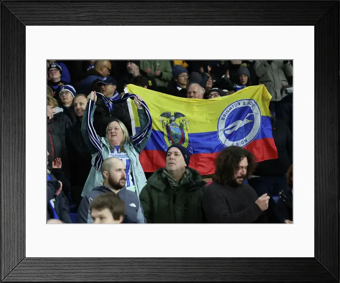 Framed Print : Brighton and Hove Albion v Manchester City Premier League 09NOV24 Framed Print : Brighton and Hove Albion v Manchester City Premier League 09NOV24