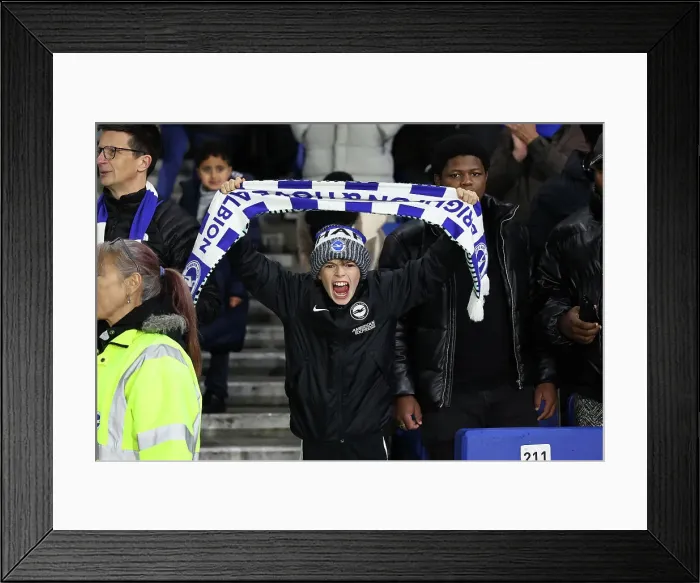 Framed Print : Brighton and Hove Albion v Manchester City Premier League 09NOV24 Framed Print : Brighton and Hove Albion v Manchester City Premier League 09NOV24