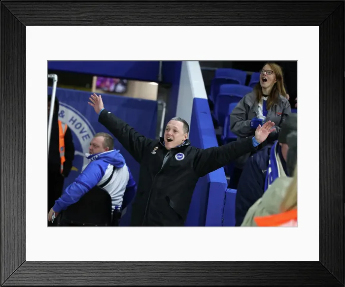 Framed Print : Brighton and Hove Albion v Manchester City Premier League 09NOV24 Framed Print : Brighton and Hove Albion v Manchester City Premier League 09NOV24