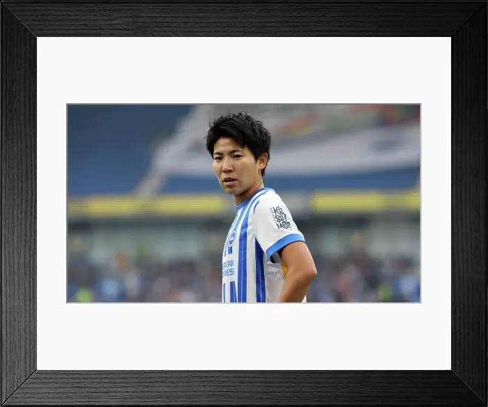 Framed Print : Brighton and Hove Albion Women v West Ham United Women Women's Super League 16NOV24