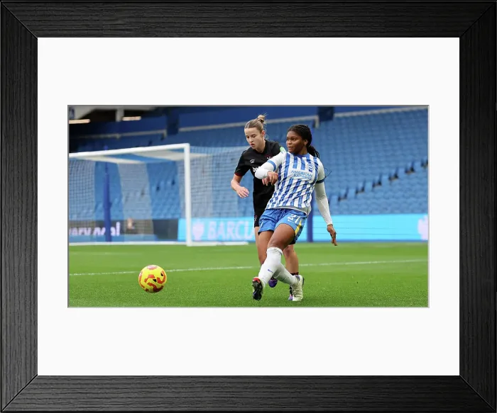 Framed Print : Brighton and Hove Albion Women v West Ham United Women Women's Super League 16NOV24