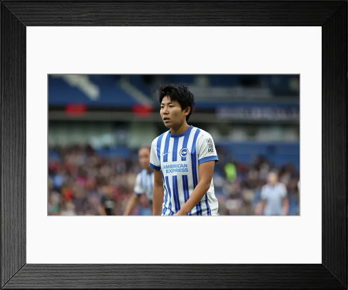 Framed Print : Brighton and Hove Albion Women v West Ham United Women Women's Super League 16NOV24