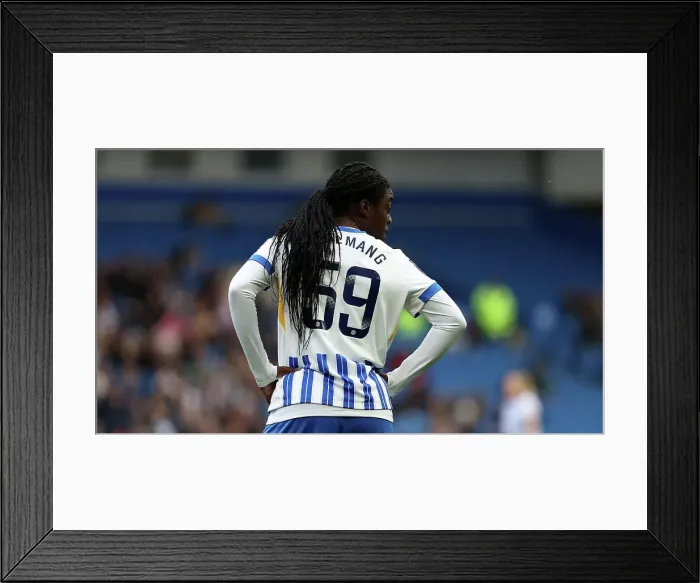Framed Print : Brighton and Hove Albion Women v West Ham United Women Women's Super League 16NOV24