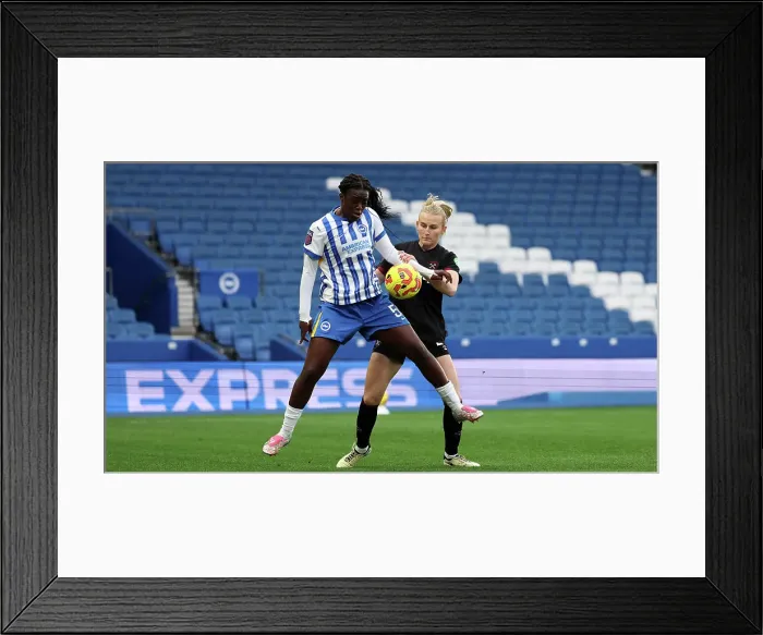 Framed Print : Brighton and Hove Albion Women v West Ham United Women Women's Super League 16NOV24