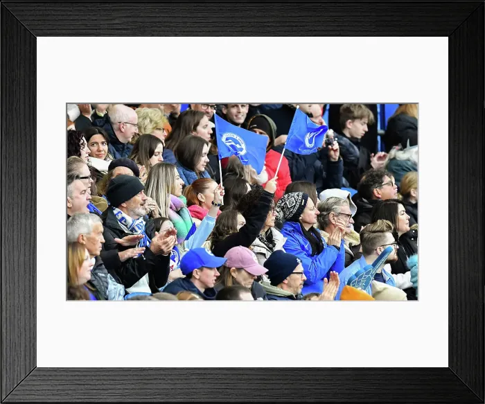 Framed Print : Brighton and Hove Albion Women v West Ham United Women Women's Super League 16NOV24 Framed Print : Brighton and Hove Albion Women v West Ham United Women Women's Super League 16NOV24