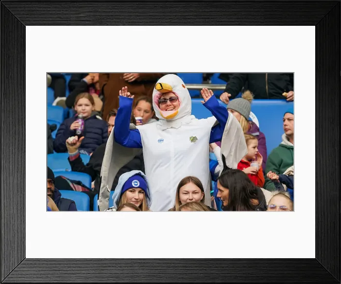 Framed Print : Brighton and Hove Albion Women v West Ham United Women Women's Super League 16NOV24 Framed Print : Brighton and Hove Albion Women v West Ham United Women Women's Super League 16NOV24