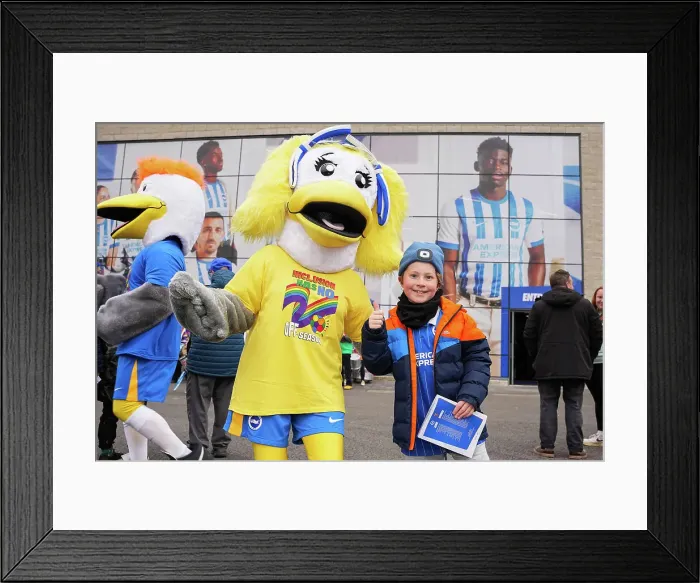 Framed Print : Brighton and Hove Albion Women v West Ham United Women Women's Super League 16NOV24 Framed Print : Brighton and Hove Albion Women v West Ham United Women Women's Super League 16NOV24
