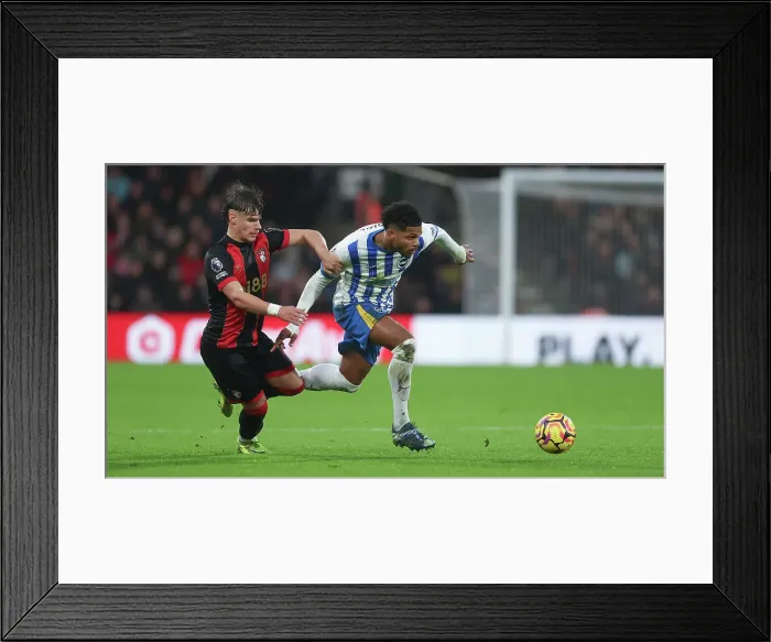 Framed Print : AFC Bournemouth v Brighton and Hove Albion Premier League 23NOV24 Framed Print : AFC Bournemouth v Brighton and Hove Albion Premier League 23NOV24