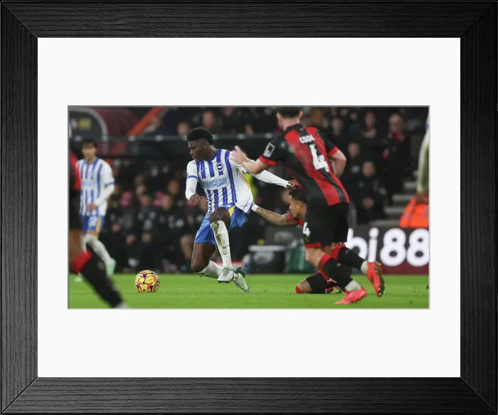 Framed Print : AFC Bournemouth v Brighton and Hove Albion Premier League 23NOV24 Framed Print : AFC Bournemouth v Brighton and Hove Albion Premier League 23NOV24