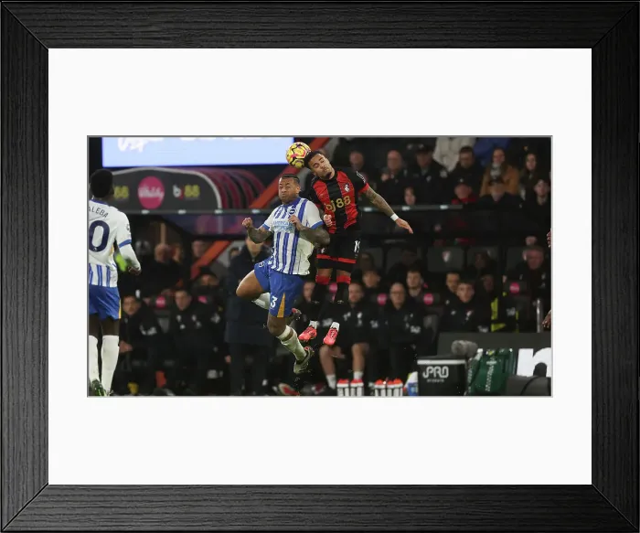 Framed Print : AFC Bournemouth v Brighton and Hove Albion Premier League 23NOV24 Framed Print : AFC Bournemouth v Brighton and Hove Albion Premier League 23NOV24