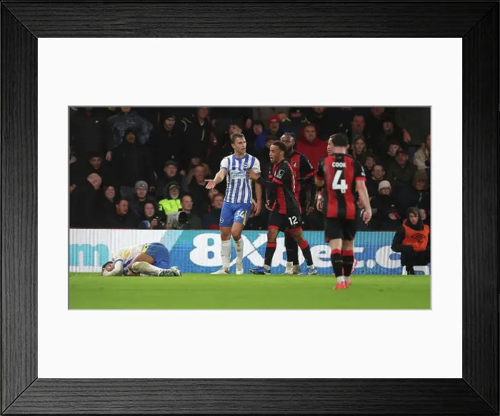 Framed Print : AFC Bournemouth v Brighton and Hove Albion Premier League 23NOV24 Framed Print : AFC Bournemouth v Brighton and Hove Albion Premier League 23NOV24