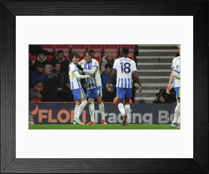 Framed Print : AFC Bournemouth v Brighton and Hove Albion Premier League 23NOV24 Framed Print : AFC Bournemouth v Brighton and Hove Albion Premier League 23NOV24