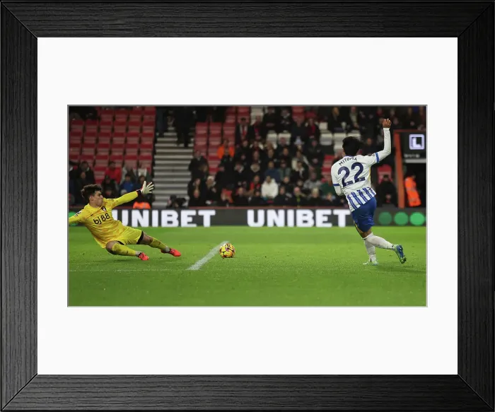 Framed Print : AFC Bournemouth v Brighton and Hove Albion Premier League 23NOV24 Framed Print : AFC Bournemouth v Brighton and Hove Albion Premier League 23NOV24