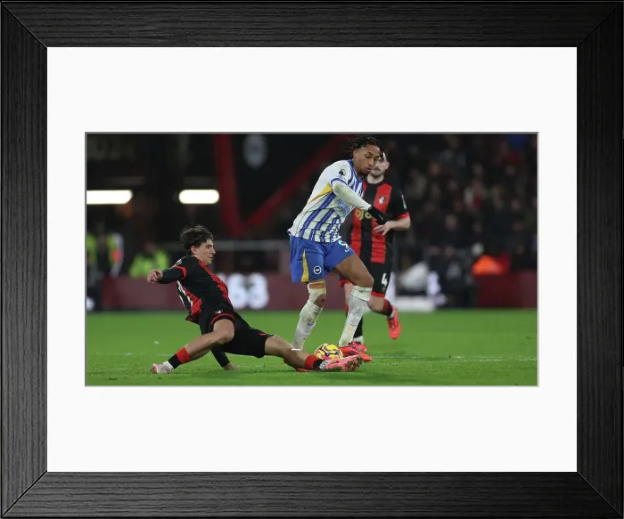 Framed Print : AFC Bournemouth v Brighton and Hove Albion Premier League 23NOV24 Framed Print : AFC Bournemouth v Brighton and Hove Albion Premier League 23NOV24