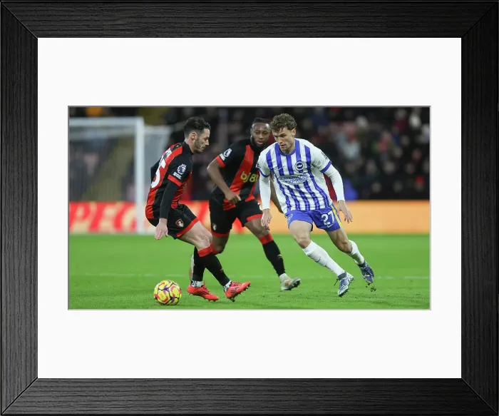 Framed Print : AFC Bournemouth v Brighton and Hove Albion Premier League 23NOV24 Framed Print : AFC Bournemouth v Brighton and Hove Albion Premier League 23NOV24