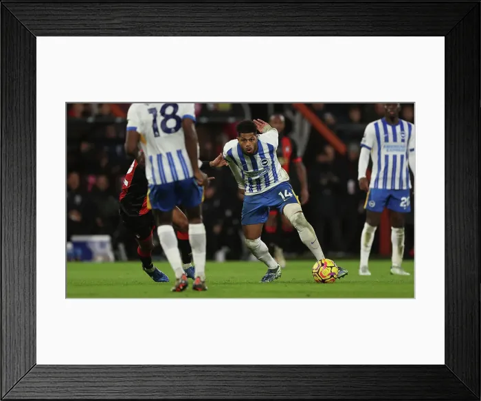 Framed Print : AFC Bournemouth v Brighton and Hove Albion Premier League 23NOV24 Framed Print : AFC Bournemouth v Brighton and Hove Albion Premier League 23NOV24