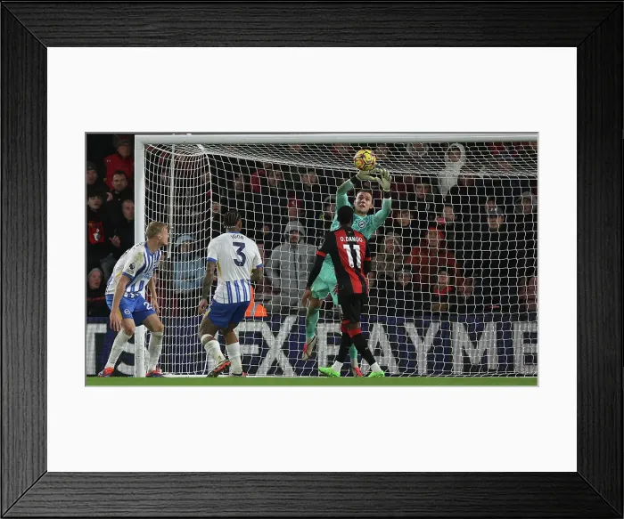 Framed Print : AFC Bournemouth v Brighton and Hove Albion Premier League 23NOV24 Framed Print : AFC Bournemouth v Brighton and Hove Albion Premier League 23NOV24