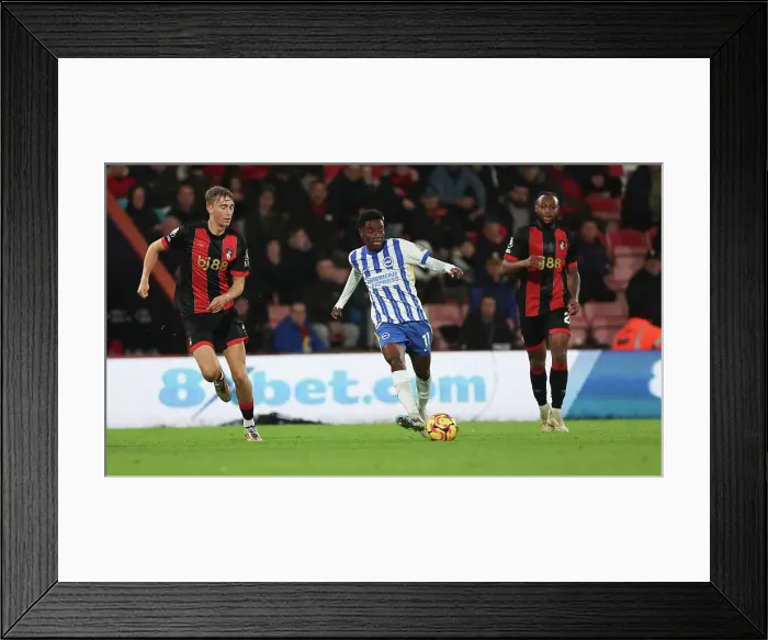 Framed Print : AFC Bournemouth v Brighton and Hove Albion Premier League 23NOV24 Framed Print : AFC Bournemouth v Brighton and Hove Albion Premier League 23NOV24
