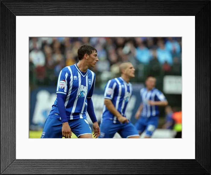Framed Print : MK Dons. Brighton And Hove Albion Past Seasons Framed Print : MK Dons. Brighton And Hove Albion Past Seasons