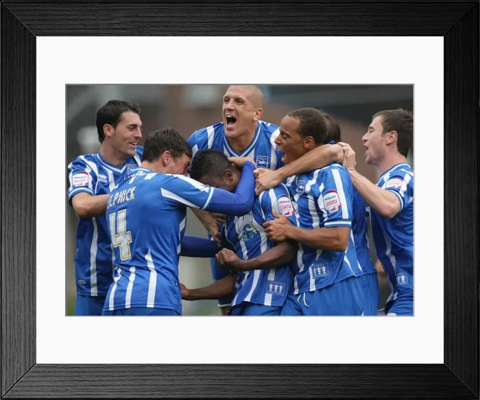 Framed Print : Brighton & Hove Albion 2010-11: Home Match Against MK Dons Framed Print : Brighton & Hove Albion 2010-11: Home Match Against MK Dons