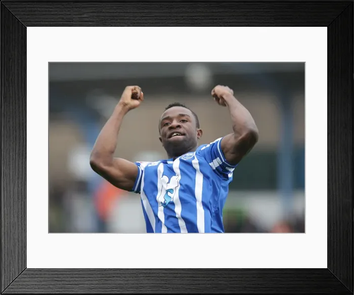 Framed Print : Brighton & Hove Albion vs MK Dons: Home Game, 2010-11 Season Framed Print : Brighton & Hove Albion vs MK Dons: Home Game, 2010-11 Season