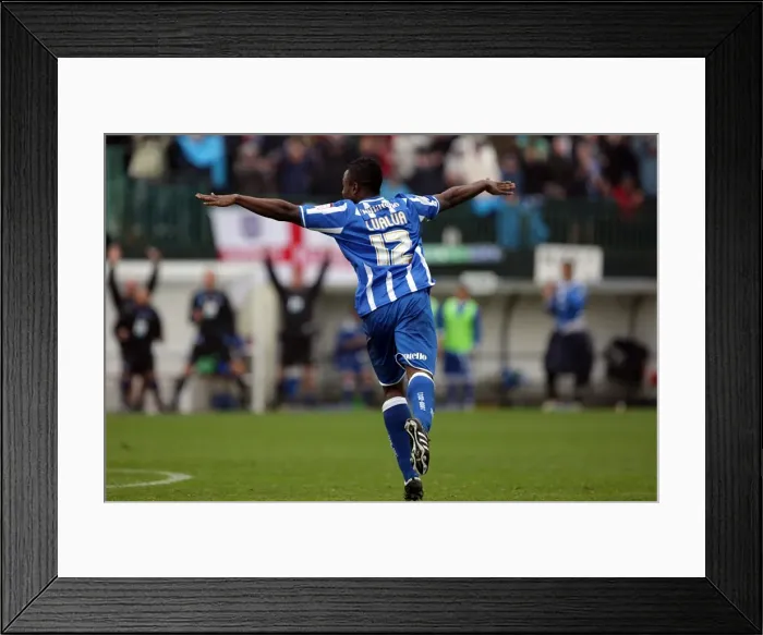 Framed Print : Brighton & Hove Albion vs MK Dons (2010-11): A Home Match Framed Print : Brighton & Hove Albion vs MK Dons (2010-11): A Home Match