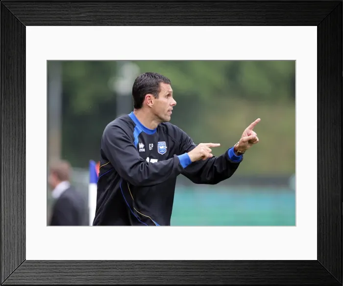 Framed Print : Brighton & Hove Albion vs MK Dons (2010-11): A Home Game Framed Print : Brighton & Hove Albion vs MK Dons (2010-11): A Home Game