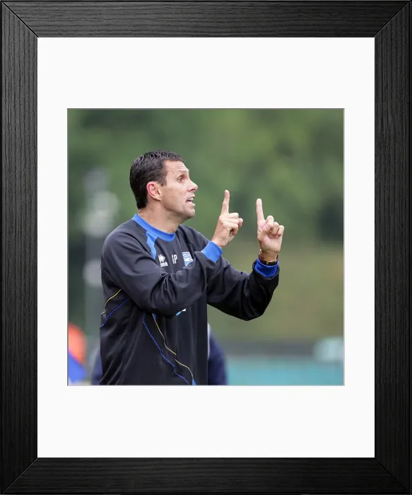 Framed Print : Brighton & Hove Albion 2010-11: A Home Season Recap (MK Dons) Framed Print : Brighton & Hove Albion 2010-11: A Home Season Recap (MK Dons)