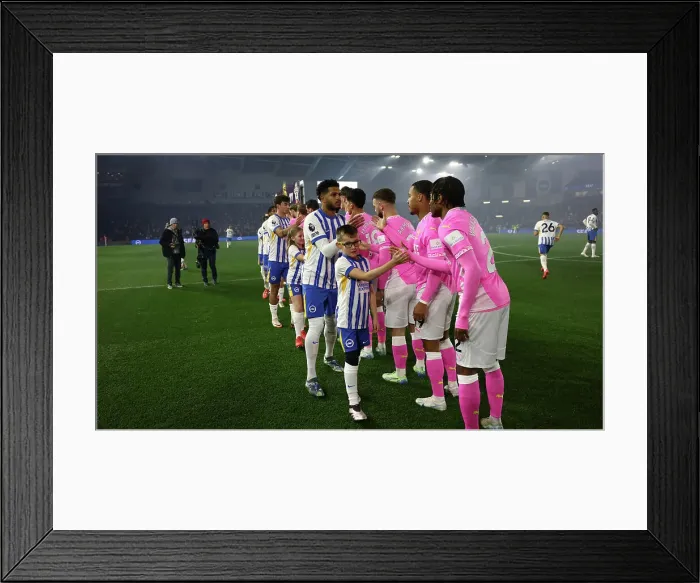 Framed Print : Brighton and Hove Albion v Southampton Premier League 29NOV24 Framed Print : Brighton and Hove Albion v Southampton Premier League 29NOV24