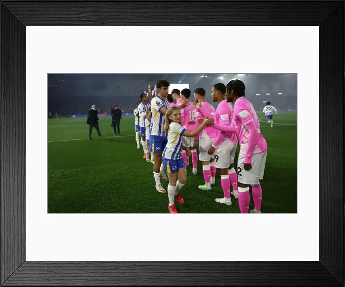 Framed Print : Brighton and Hove Albion v Southampton Premier League 29NOV24 Framed Print : Brighton and Hove Albion v Southampton Premier League 29NOV24