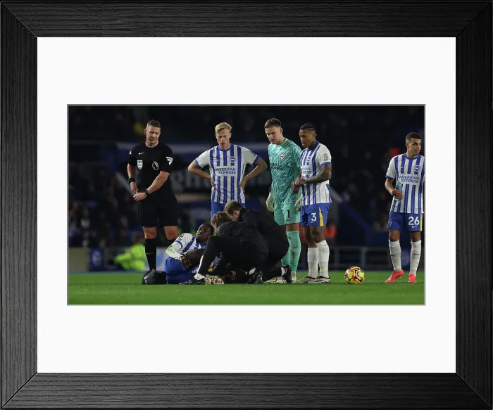 Framed Print : Brighton and Hove Albion v Southampton Premier League 29NOV24