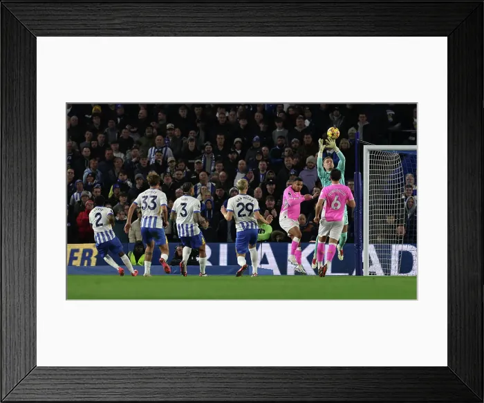 Framed Print : Brighton and Hove Albion v Southampton Premier League 29NOV24