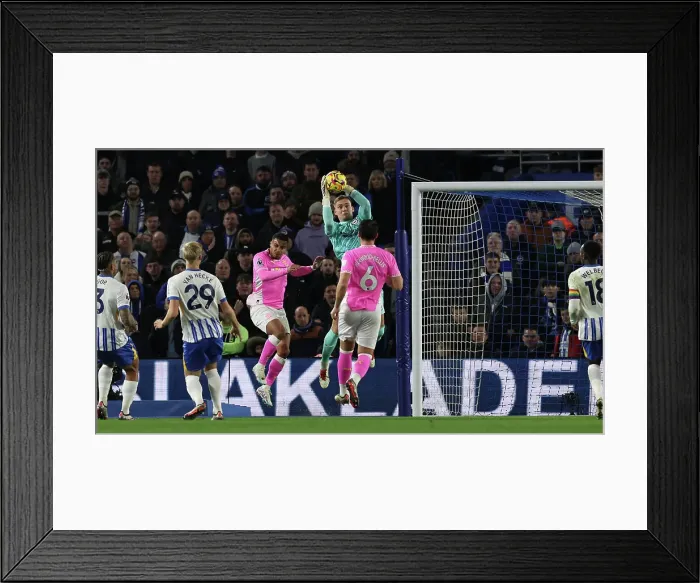 Framed Print : Brighton and Hove Albion v Southampton Premier League 29NOV24