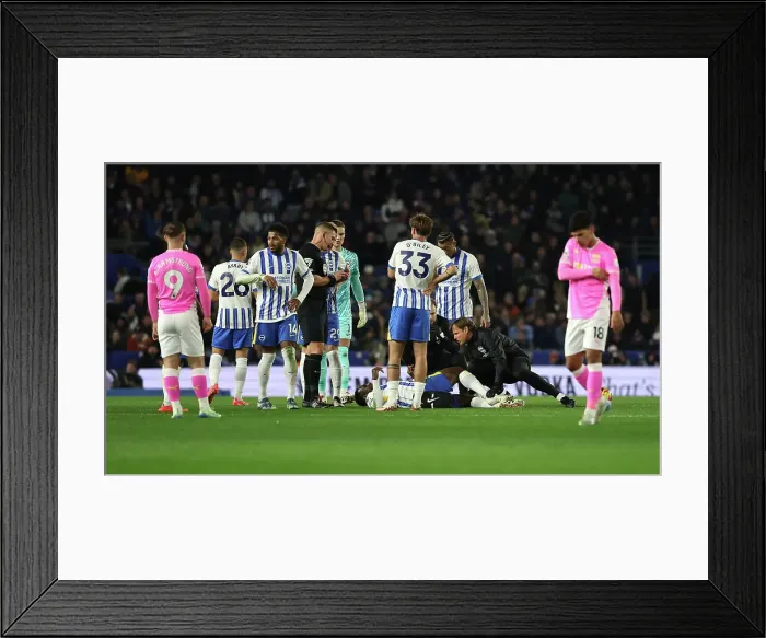 Framed Print : Brighton and Hove Albion v Southampton Premier League 29NOV24