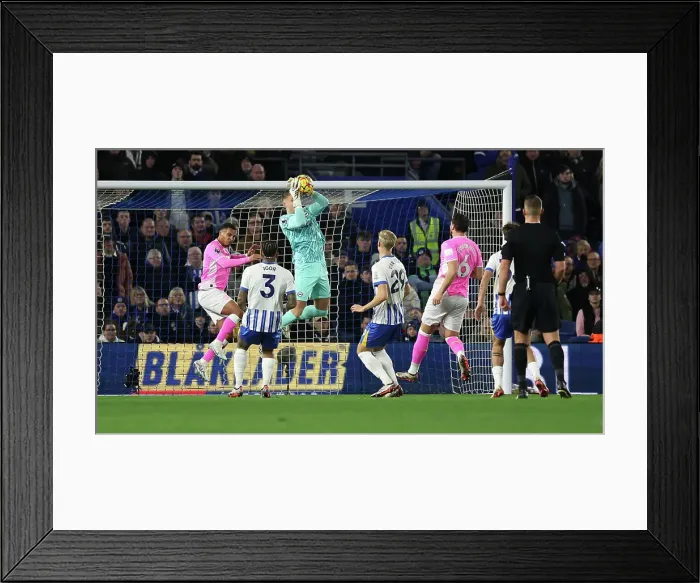 Framed Print : Brighton and Hove Albion v Southampton Premier League 29NOV24