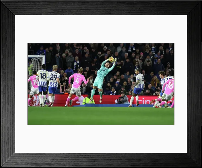 Framed Print : Brighton and Hove Albion v Southampton Premier League 29NOV24