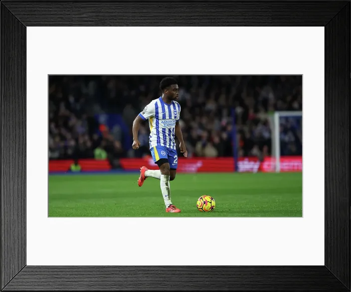 Framed Print : Brighton and Hove Albion v Southampton Premier League 29NOV24 Framed Print : Brighton and Hove Albion v Southampton Premier League 29NOV24