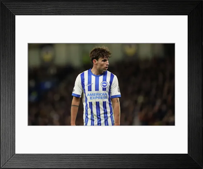 Framed Print : Brighton and Hove Albion v Southampton Premier League 29NOV24 Framed Print : Brighton and Hove Albion v Southampton Premier League 29NOV24