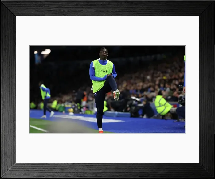 Framed Print : Brighton and Hove Albion v Southampton Premier League 29NOV24 Framed Print : Brighton and Hove Albion v Southampton Premier League 29NOV24