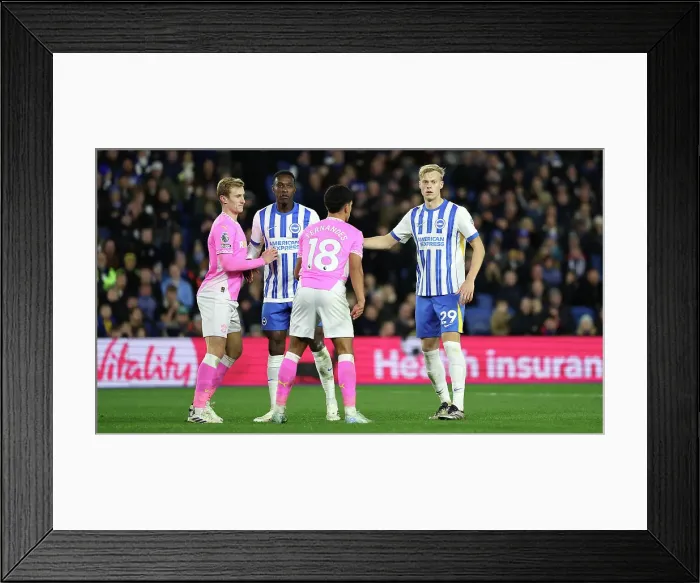 Framed Print : Brighton and Hove Albion v Southampton Premier League 29NOV24 Framed Print : Brighton and Hove Albion v Southampton Premier League 29NOV24